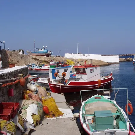 Fotini & Dimitrios 3*