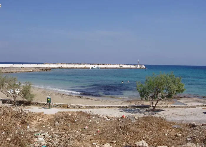 Fotini & Dimitrios Konukevi Frý